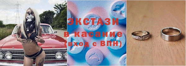 хмурый Алексин