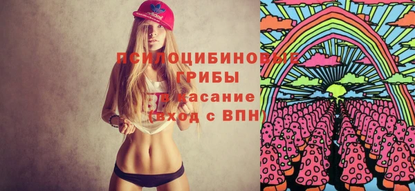герыч Гусь-Хрустальный
