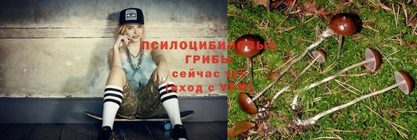 бошки Алзамай