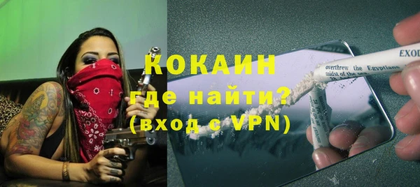 хмурый Алексин