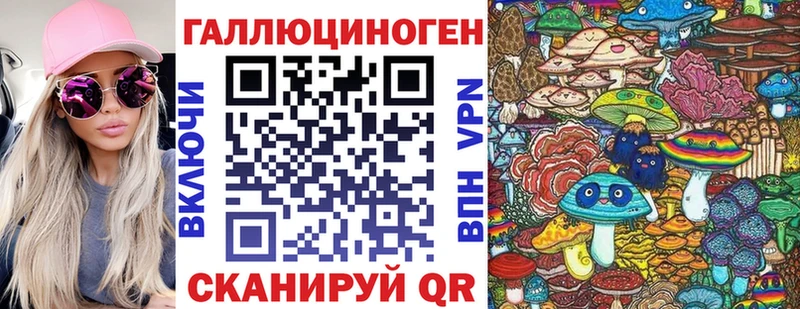 Галлюциногенные грибы Psilocybe  Почеп 